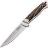 Boker 02BA303H Arbolito Relincho Cuerno Fixed Blade Knife With Stag Handle -Knives Shop 156123 156152